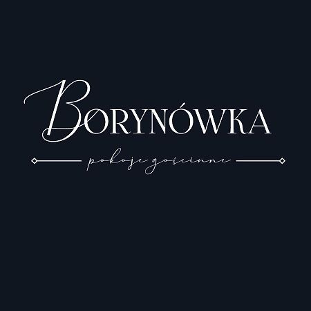 Willa Borynowka Kazimierz Dolny Exterior photo